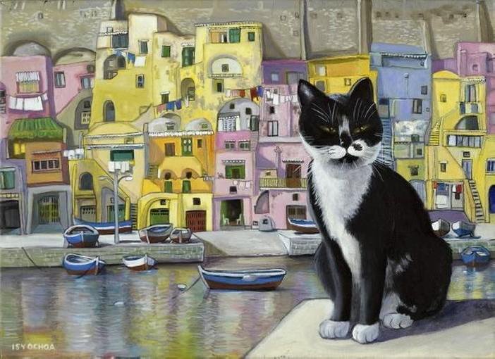 Cat in Corricella, Italy - Isy Ochoa