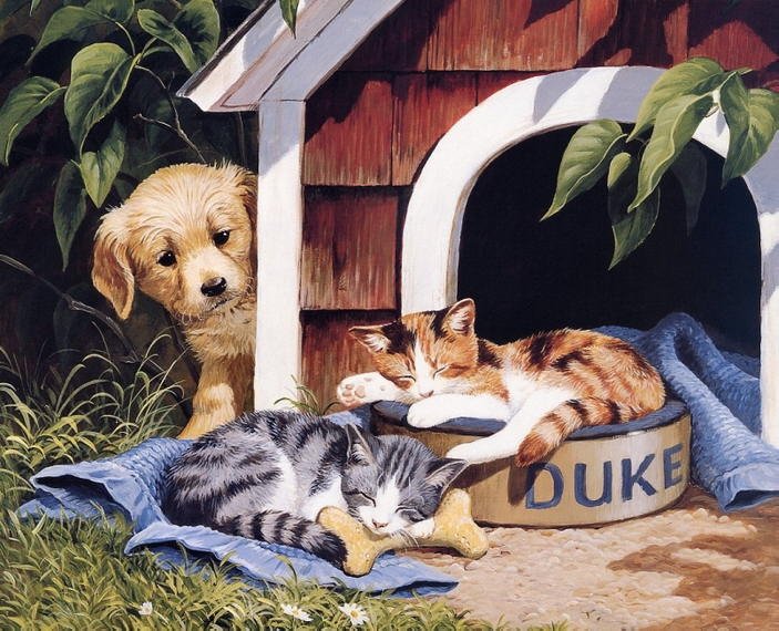 http://www.catsfineart.com/assets/images/cats/CatAndDog/db_Persis_Clayton_Weirs451.jpg