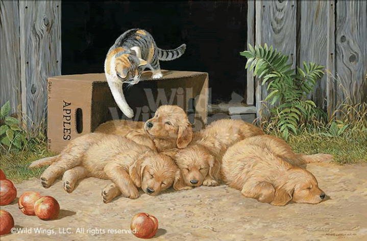 http://www.catsfineart.com/assets/images/cats/CatAndDog/db_Persis_Clayton_Weirs491.jpg