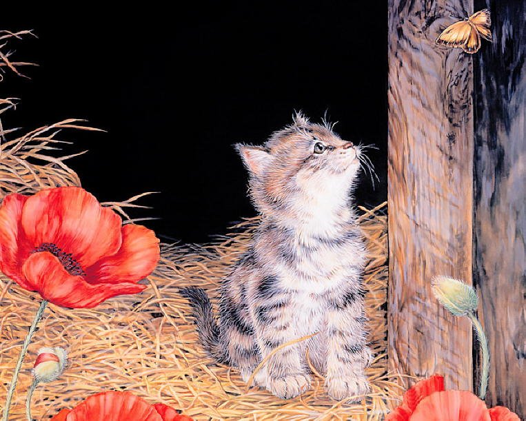 Painting of kittens. Jane Maday