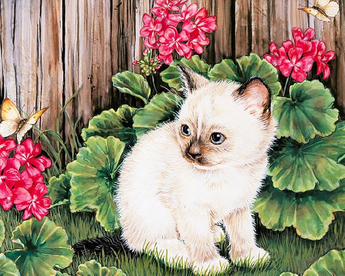 Painting of kittens. Jane Maday