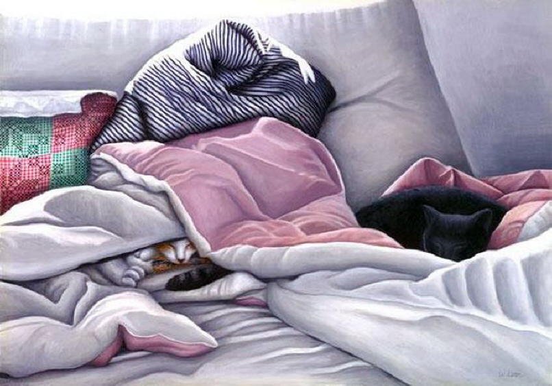 Carol Wilson - Hide in Blankets