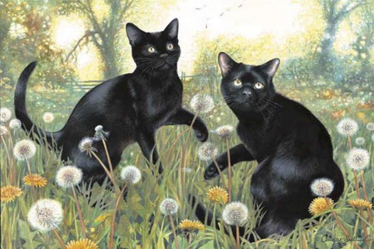 Paint Black Cats In Acrylic Paint Black Cats In Acrylic