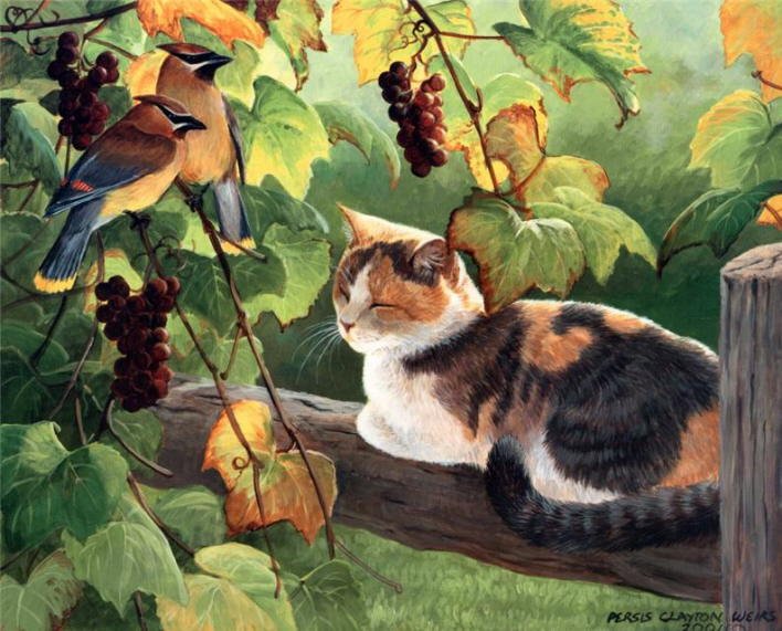 Persis Clayton Weirs - Grapevine Secrets