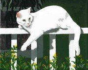 Constance Shields - White Cat - White Rail