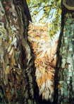Cat in tree - James Hugh Beattie